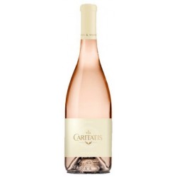 Vox Caritatis Rosé 2018